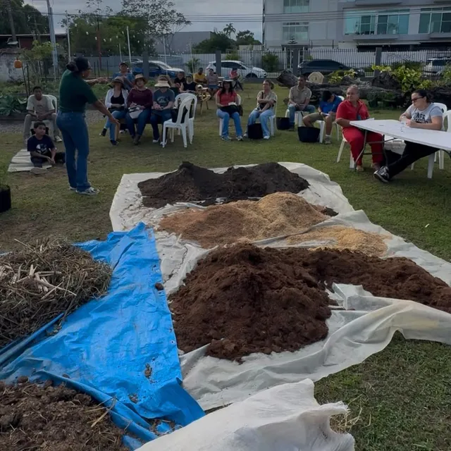 Taller en David: sustratos listos para preparar la tierra