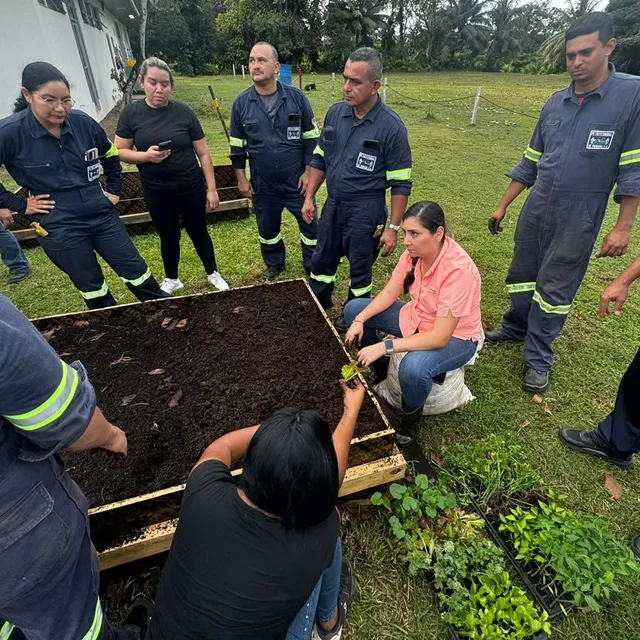 Equipo de Petro Terminal sembrando plantones en su huerto