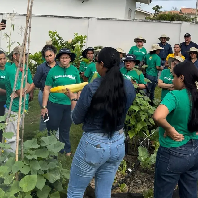 Taller corporativo de Coleche: el equipo aprende junto al huerto